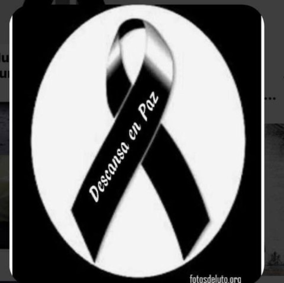 Meet your Posher, Chispita - Picture 1 of 1